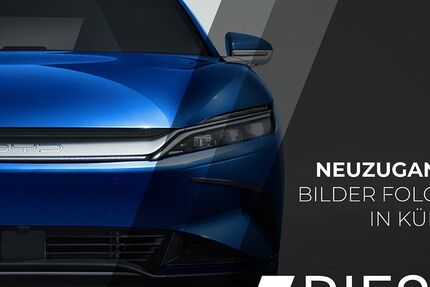 BYD DOLPHIN 3.000 km 27.700 &euro; Ravensburg 88214