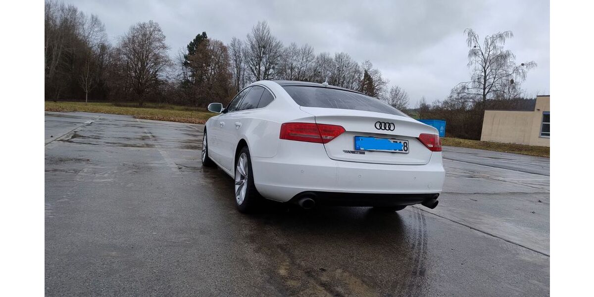 Audi A5 275.000 km 5.600 &euro; Weingarten 88250