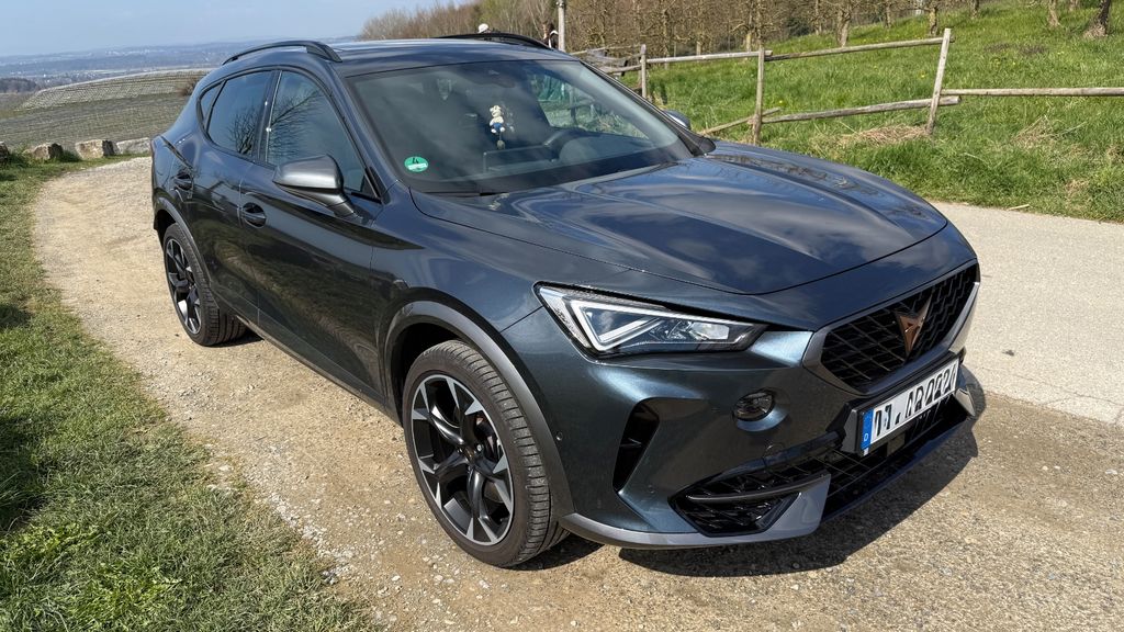 Cupra Formentor 31.000 km 31.999 &euro; Tettnang 88069