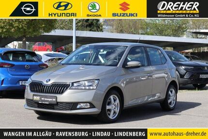 Skoda Fabia 48.905 km 12.990 &euro; Wangen 88239