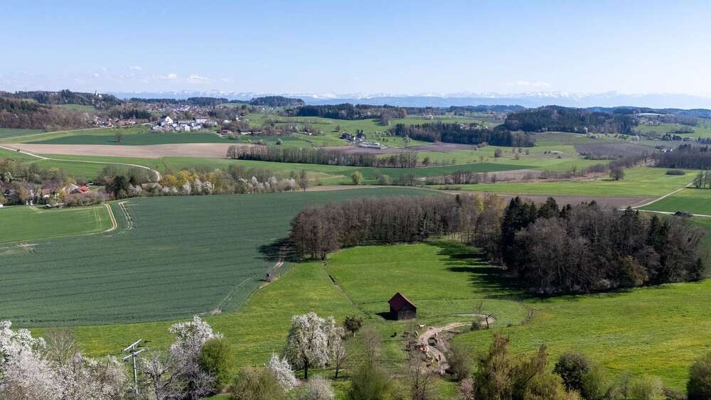 Einfamilienhaus Grünkraut - 5 Zimmer, 155 m&sup2;, 895.000&euro; | Angebot:26145042