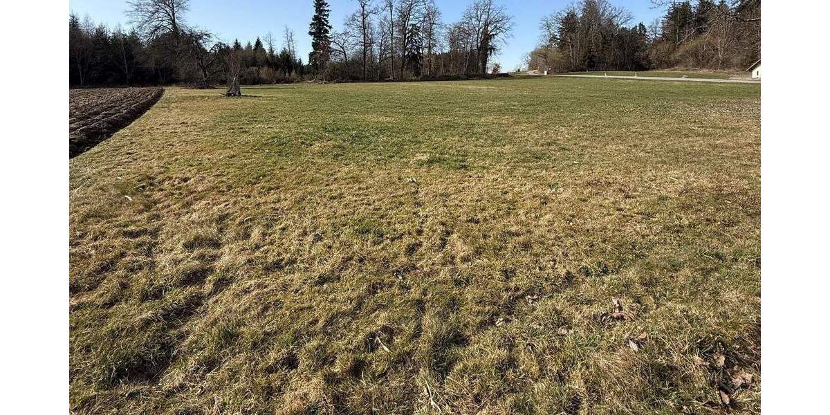 Einfamilienhaus Horgenzell Zogenweiler - 5 Zimmer, 96 m&sup2;, 365.000&euro; | Angebot:25779851