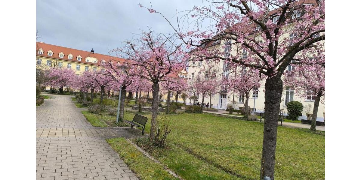 Etagenwohnung Weingarten - 2 Zimmer, 39 m&sup2;, 189.000&euro; | Angebot:25294801