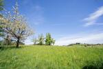 Villa Lindau (Bodensee) - 7 Zimmer, 300 m&sup2;, 2.690.000&euro; | Angebot:27019839