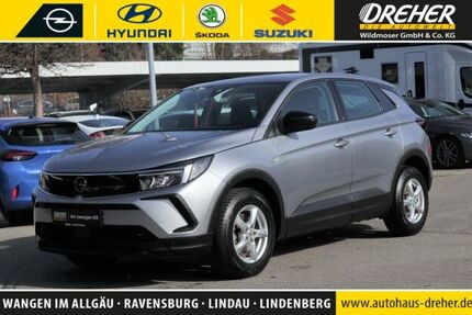 Opel Grandland (X) 34.213 km 21.490 &euro; Wangen 88239
