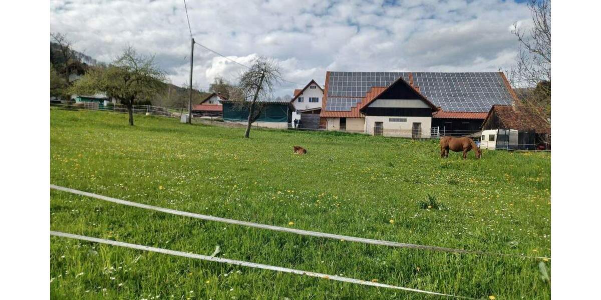 Etagenwohnung Deggenhausertal Deggenhausen - 3 Zimmer, 62 m&sup2;, 218.000&euro; | Angebot:25695302