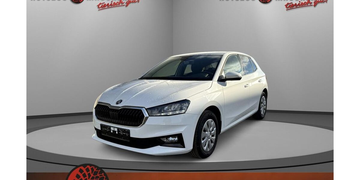 Skoda Fabia 9.100 km 16.990 &euro; Wilhelmsdorf 88271
