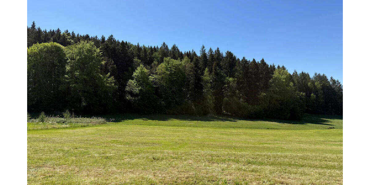 Grundstück Neukirch - 1.280.000&euro; | Angebot:26627280