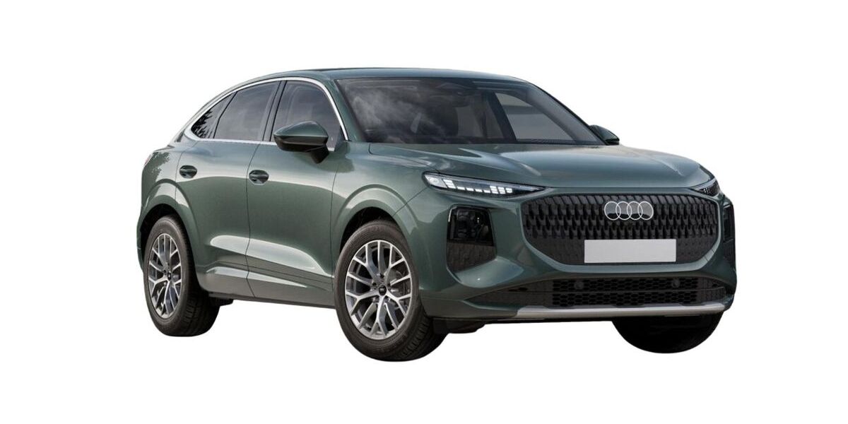 Audi Q3 1.011 km 45.990 &euro; Wangen 88239