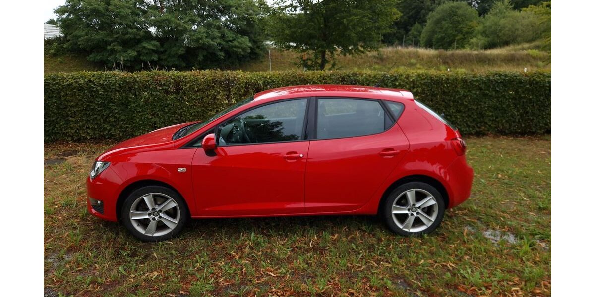 Seat Ibiza 110.000 km 7.500 &euro; Meckenbeuren 88074