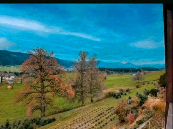 Reihenhaus Sigmarszell - 5 Zimmer, 168 m&sup2;, 568.000&euro; | Angebot:18527330