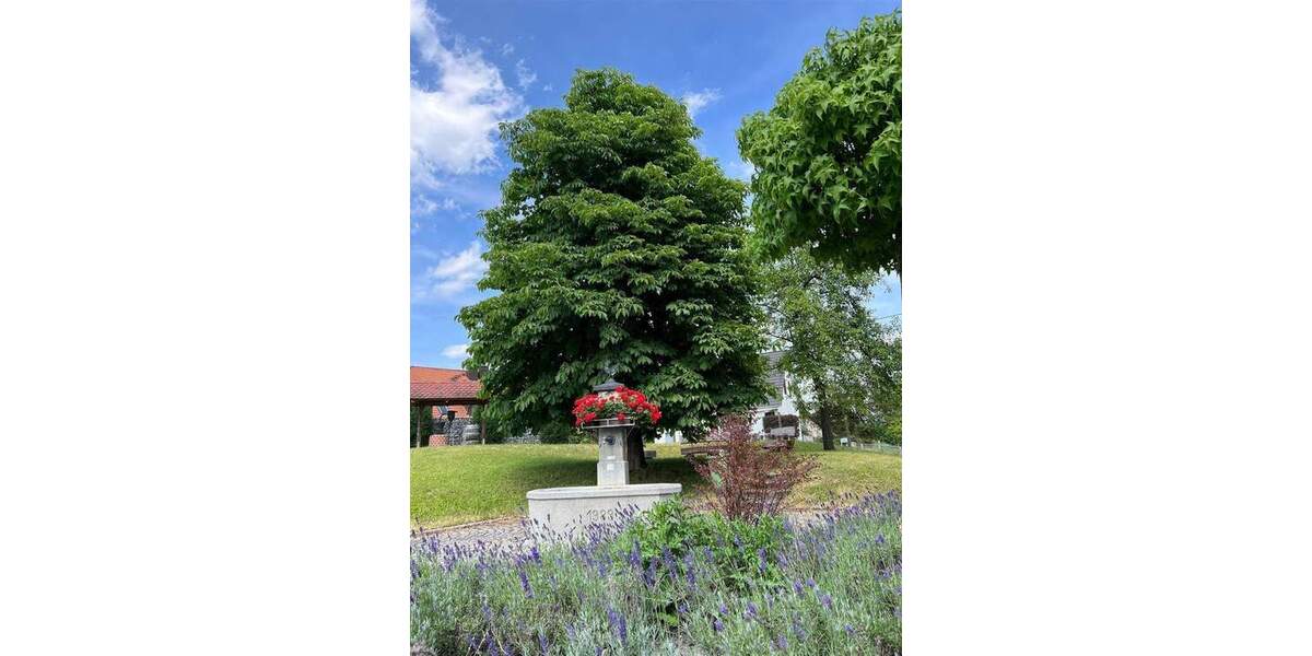 Grundstück Salem Rickenbach - 436.100&euro; | Angebot:25800094