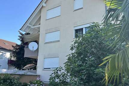 Wohnung Langenargen - 3 Zimmer, 77 m&sup2;, 347.000&euro; | Angebot:24824561