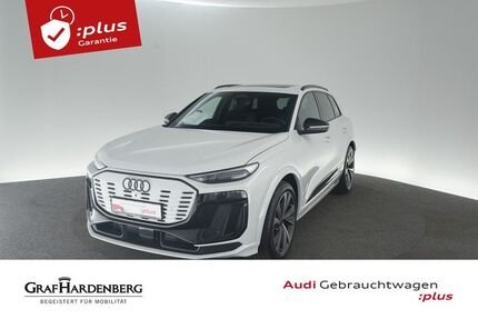 Audi SQ6 e-tron 1.600 km 71.410 &euro; Konstanz 78467