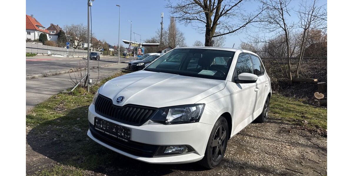 Skoda Fabia 131.000 km 6.900 &euro; Friedrichshafen 88045