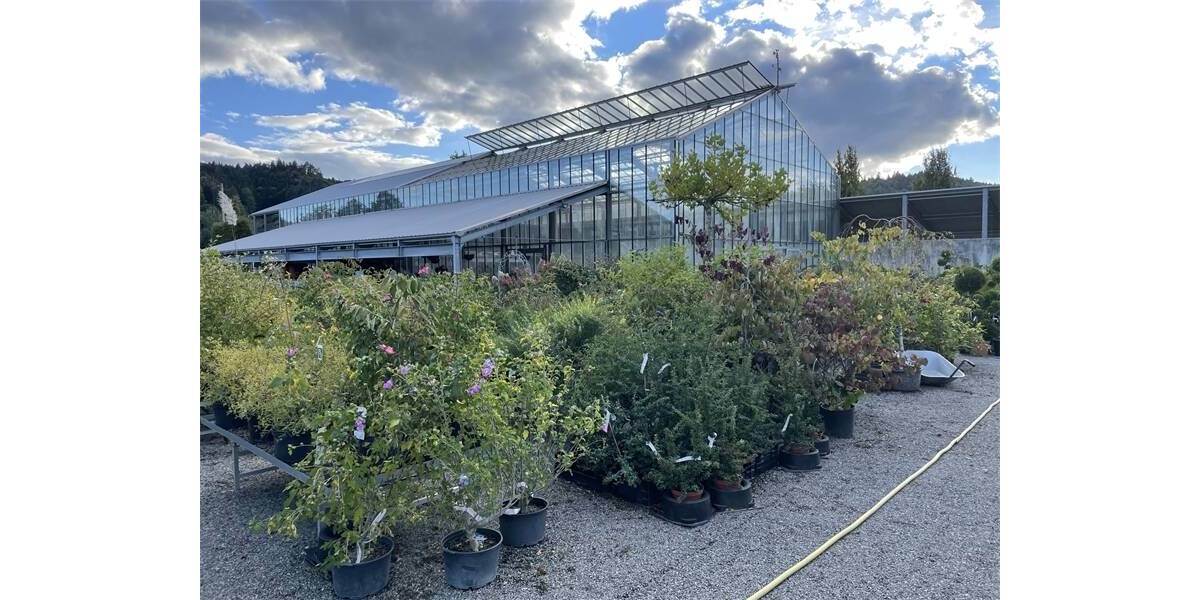 Einfamilienhaus Owingen - 5 Zimmer, 630.000&euro; | Angebot:25679965