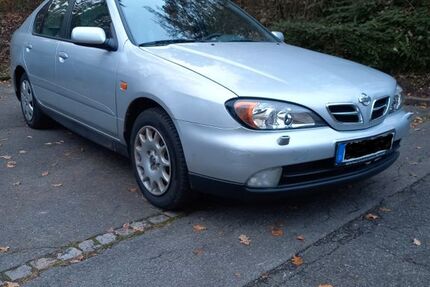 Nissan Primera 43.500 km 2.400 &euro; Meersburg 88709