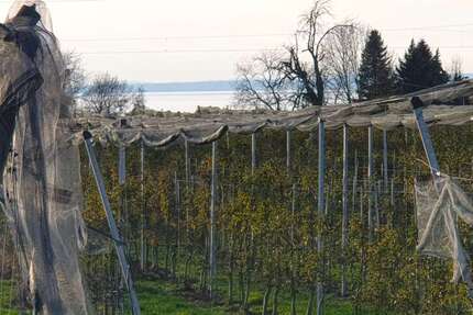 Grundstück Lindau - 495.000&euro; | Angebot:13488539