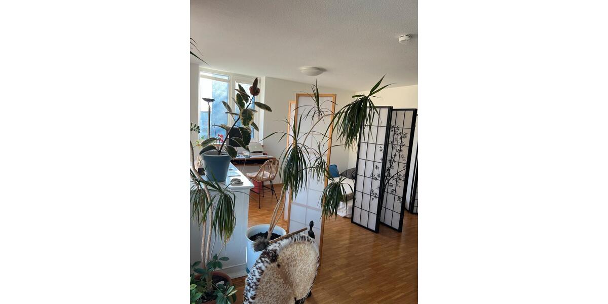 Etagenwohnung Konstanz Konstanz-Fürstenberg - 1 Zimmer, 62 m&sup2;, 420&euro; | Angebot:25919113