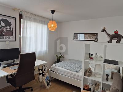 KOMFORTABEL FÜR SINGLES, PAARE ODER RENTNER - Etagenwohnung Konstanz Konstanz-Fürstenberg | Angebot:27259825