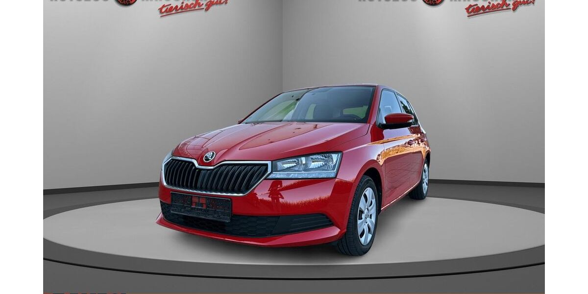 Skoda Fabia 61.171 km 10.790 &euro; Wilhelmsdorf 88271