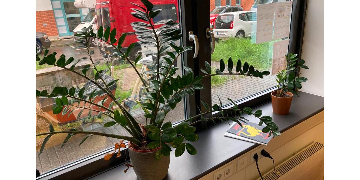 Gewerbeobjekt Konstanz Konstanz-Fürstenberg - 260&euro; | Angebot:25969028