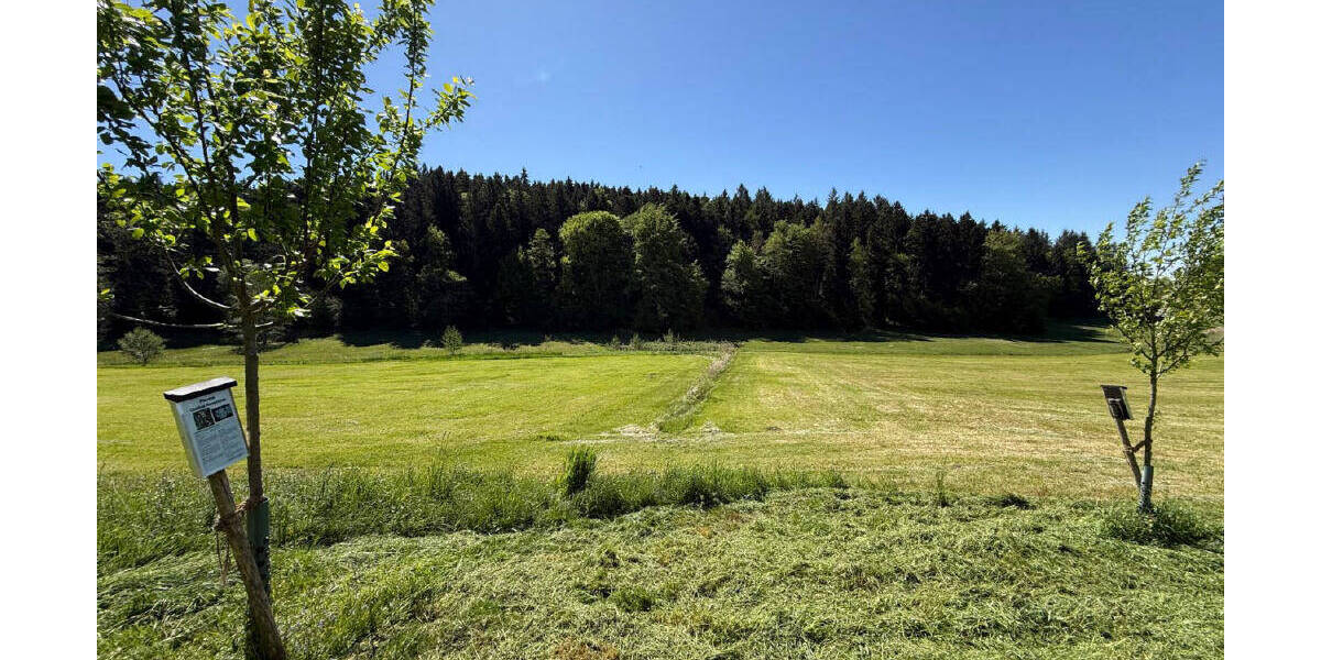 Grundstück Neukirch - 1.280.000&euro; | Angebot:26627280
