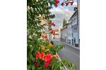 Etagenwohnung Überlingen - 3 Zimmer, 76 m&sup2;, 425.000&euro; | Angebot:26698726