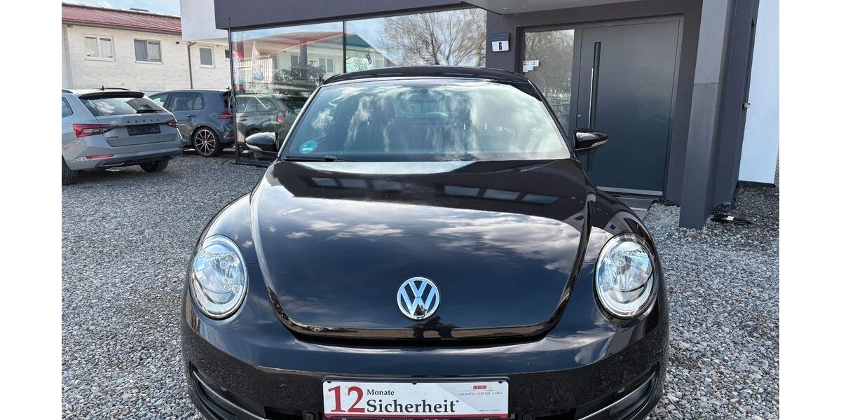 VW Beetle 156.058 km 10.599 &euro; Oberteuringen 88094