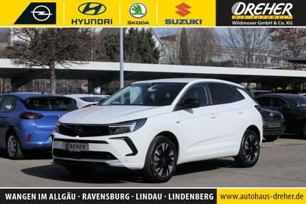 Opel Grandland (X) 18.780 km 23.970 &euro; Wangen 88239