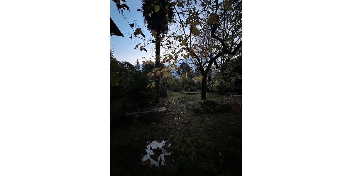 Einfamilienhaus Tettnang - 9 Zimmer, 318 m&sup2;, 900.000&euro; | Angebot:19497430