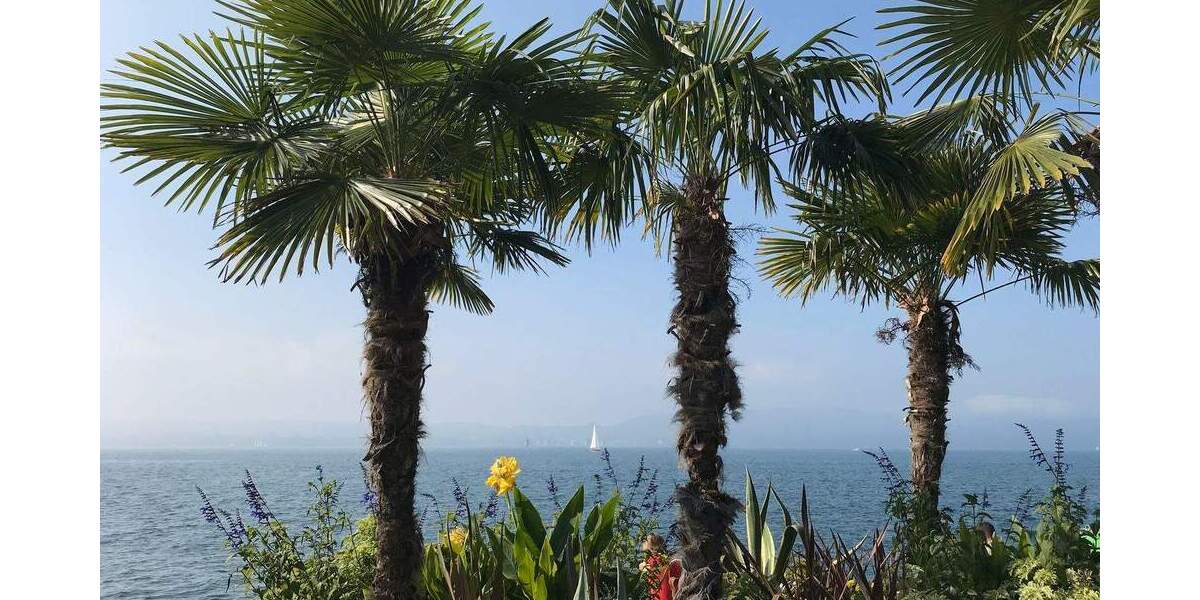 Etagenwohnung Überlingen - 2 Zimmer, 70 m&sup2;, 248.000&euro; | Angebot:25695279