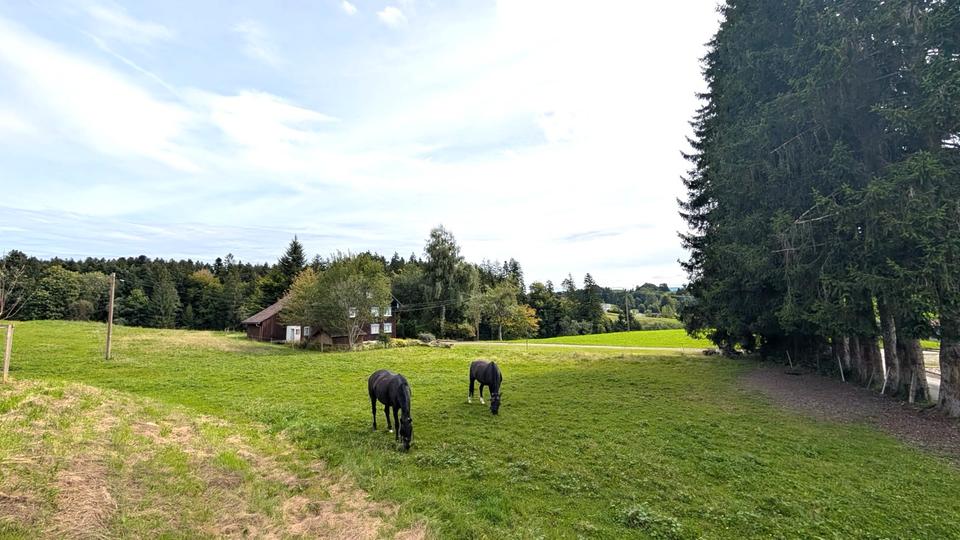 Einfamilienhaus Scheidegg - 5 Zimmer, 120 m&sup2;, 670.000&euro; | Angebot:25963450