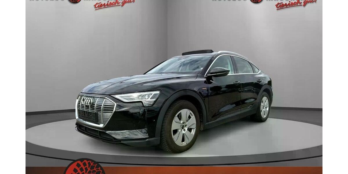 Audi e-tron 17.950 km 29.990 &euro; Wilhelmsdorf 88271