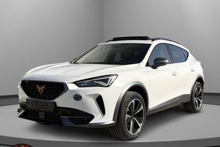 Cupra Formentor 37.207 km 25.990 &euro; Wilhelmsdorf 88271