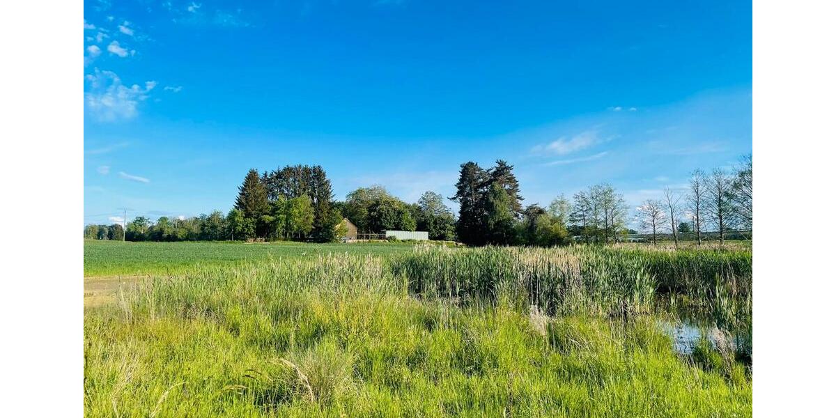 Einfamilienhaus Immenstaad am Bodensee - 890.000&euro; | Angebot:26147018