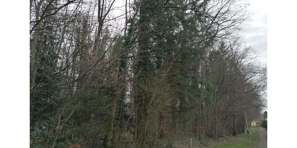 Mehrfamilienhaus, Wohnhaus Friedrichshafen - 10 Zimmer, 206 m&sup2;, 995.000&euro; | Angebot:25756526