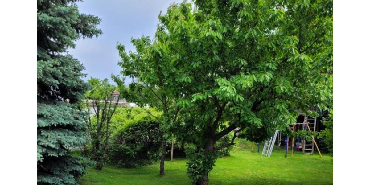 Erdgeschoßwohnung Konstanz Konstanz-Fürstenberg - 1 Zimmer, 24 m&sup2;, 420&euro; | Angebot:24850518