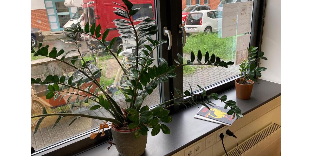 Gewerbeobjekt Konstanz Konstanz-Fürstenberg - 260&euro; | Angebot:23137853