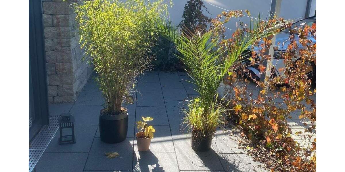 Etagenwohnung Überlingen Aufkirch - 2 Zimmer, 66 m&sup2;, 420.000&euro; | Angebot:25671828