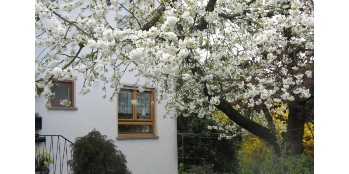 Erdgeschoßwohnung Immenstaad am Bodensee - 3.5 Zimmer, 85 m&sup2;, 1.000&euro; | Angebot:24994547