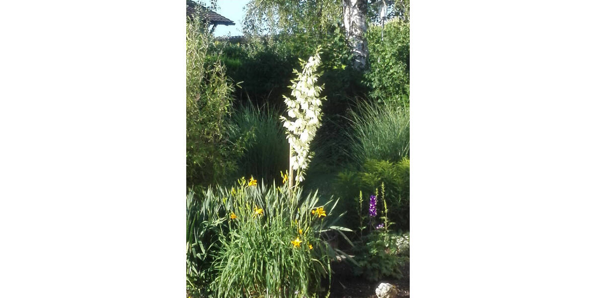 Einfamilienhaus Wangen - 5 Zimmer, 160 m&sup2;, 893.000&euro; | Angebot:25775364