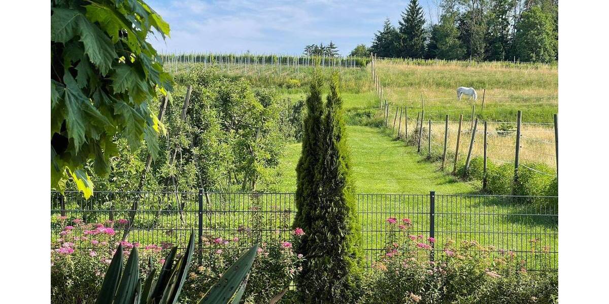 Etagenwohnung Wasserburg (Bodensee) Hege - 5 Zimmer, 160 m&sup2;, 890.000&euro; | Angebot:25708073