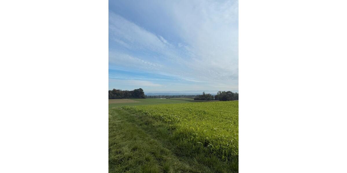 Etagenwohnung Horgenzell - 1.5 Zimmer, 46 m&sup2;, 750&euro; | Angebot:25107434