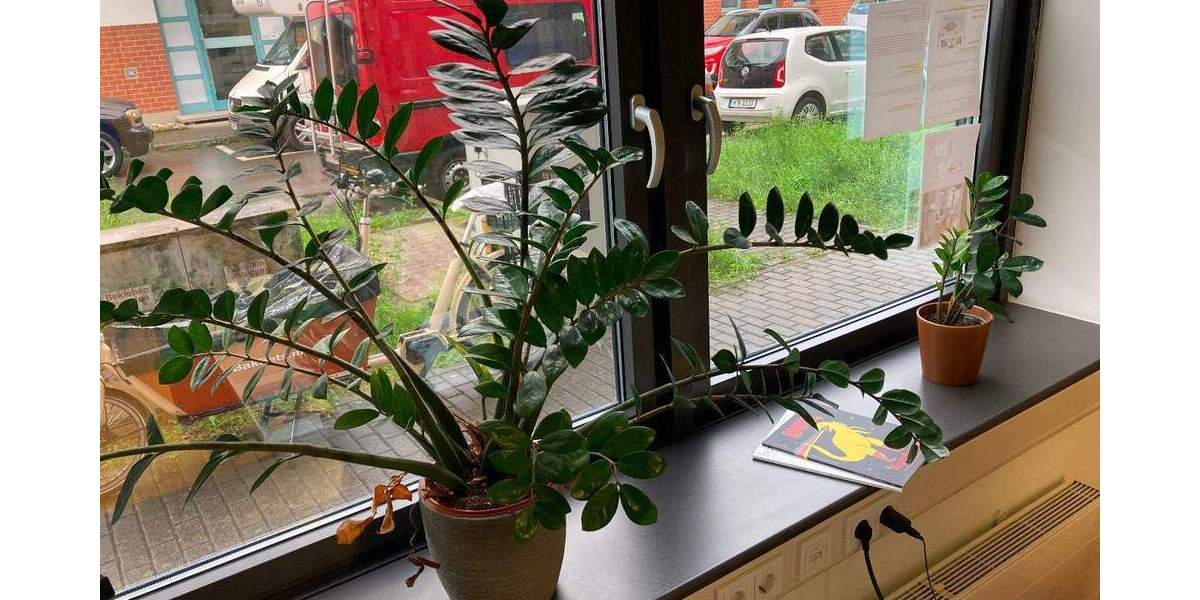 Gewerbeobjekt Konstanz Industriegebiet - 260&euro; | Angebot:25754918