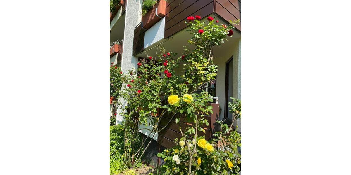 Hochparterre Friedrichshafen Ailingen - 2 Zimmer, 65 m&sup2;, 1.090&euro; | Angebot:27595330