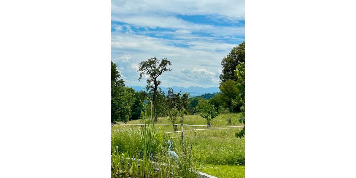 Bauernhaus, Landhaus Amtzell - 10 Zimmer, 400 m&sup2;, 2.190.000&euro; | Angebot:25646465