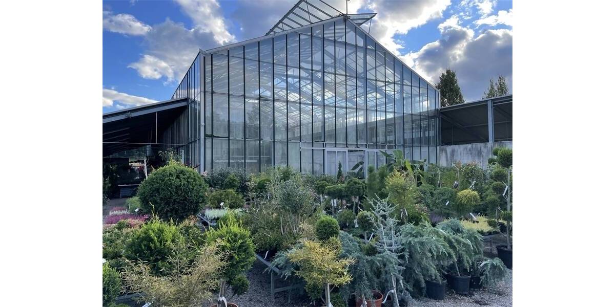 Einfamilienhaus Owingen - 5 Zimmer, 630.000&euro; | Angebot:25679965