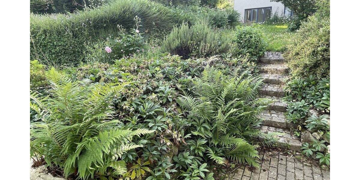 Etagenwohnung Meersburg - 3 Zimmer, 118 m&sup2;, 1.298&euro; | Angebot:26867335