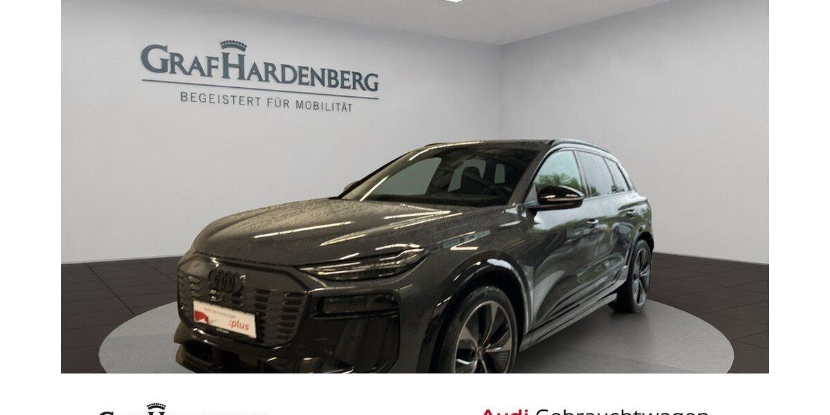 Audi Q6 e-tron 21.600 km 63.910 &euro; Konstanz 78467
